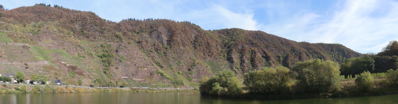 Moselschleife am Bremmer Calmont