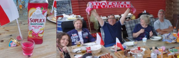 Polen-Party