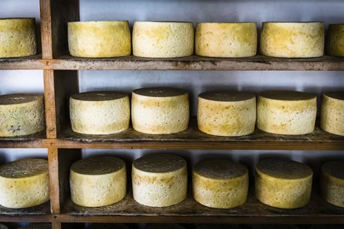 Bergkäse aus Sotres