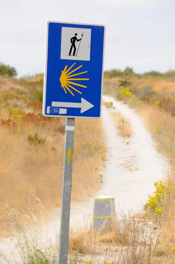 Bestens ausgeschildert - Camino Francés