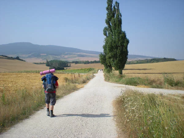 Camino Francés - Der Weg ist das Ziel