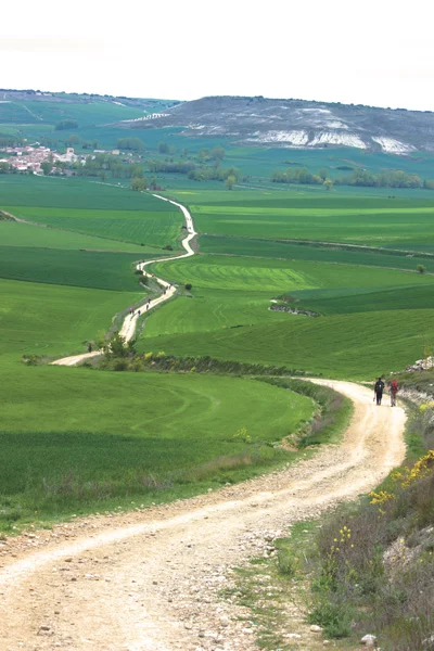 Camino Francés Panorama