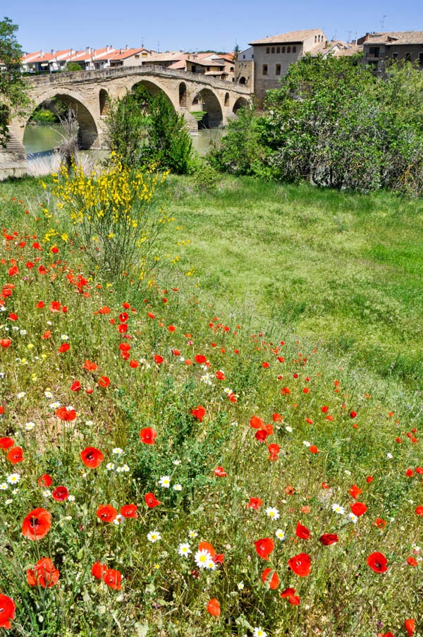 Camino Francés - Puente la Reina