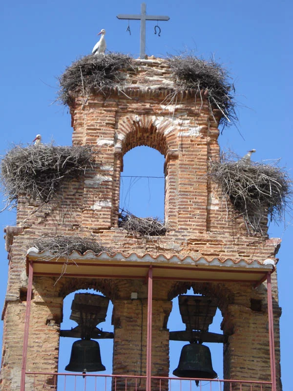 Camino Francés - Storchennester