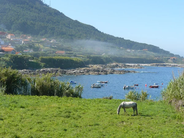 Camino Portugués Küstenweg