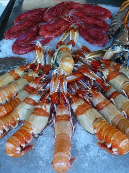 Frische Meeresfrüchte