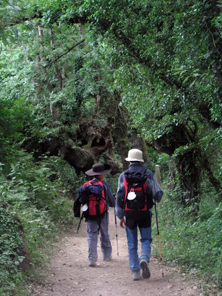 Jakobsweg mit Kindern