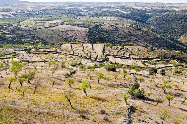 Landschaft hinter Salamanca