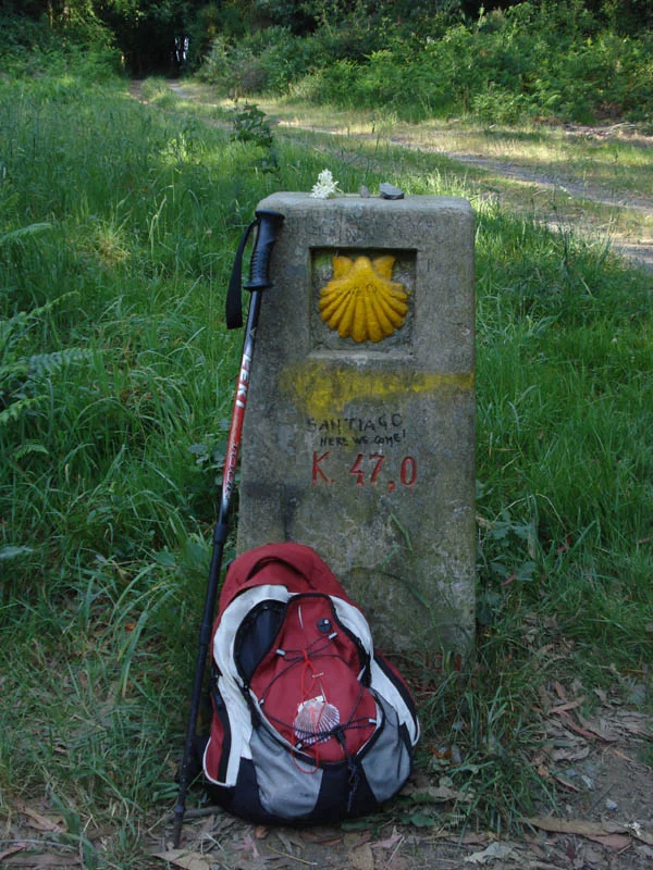 Leichtes Gepäck dank Gepäcktransport