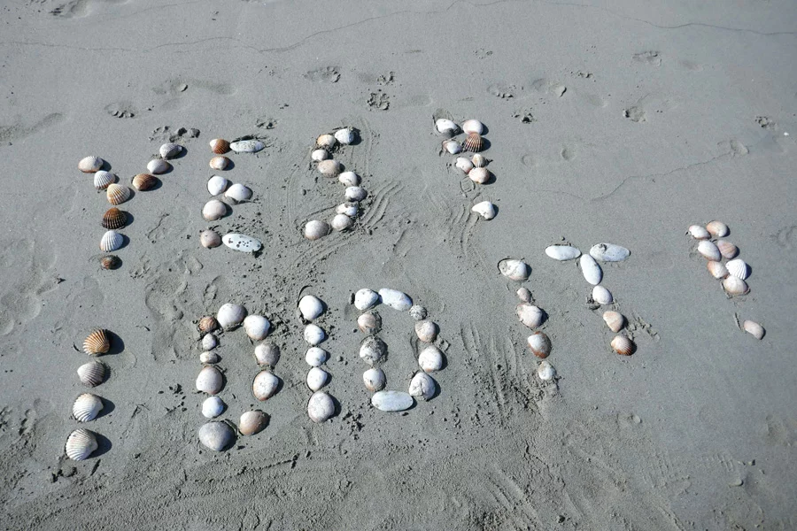 Muscheln am Strand in Finisterra
