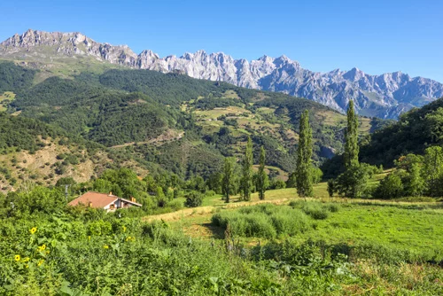 Picos de Europa