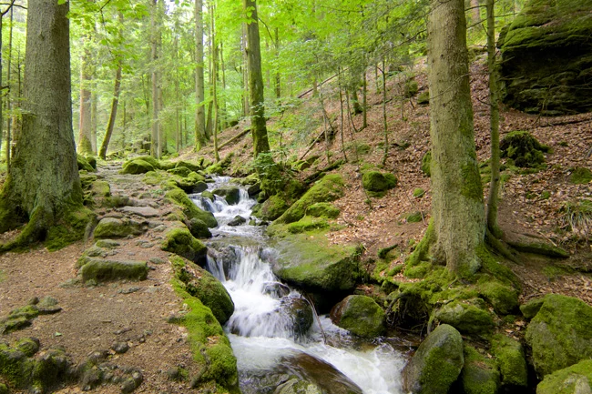 Romantischer Schwarzwald