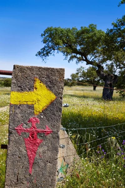 Via de la Plata in Galizien